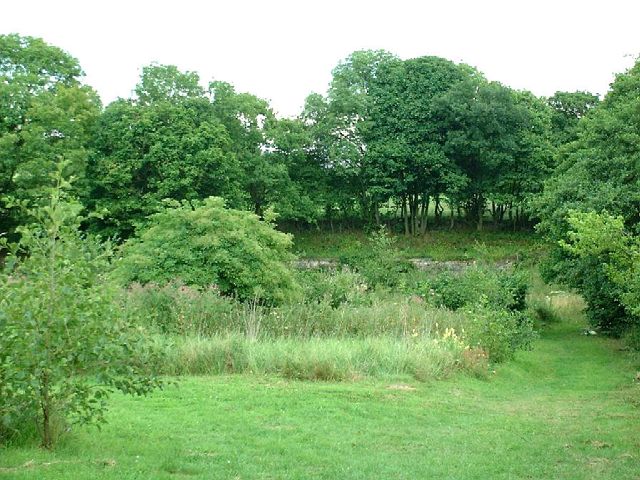 Jim Mart Nature Reserve from the entrance (August 2010)